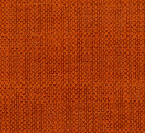 LINO 29